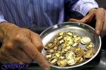 دو میلیون و ۸۵۰ هزار تومان ، سکه طرح تازه ۲۸ هزار تومان گران شد/ نرخ